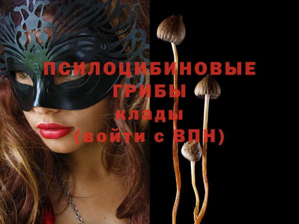 индика Алексин