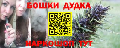 spice Шелехов
